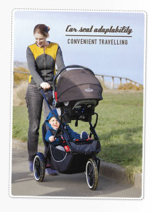 phil and teds classic double stroller